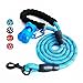 Toozey 5 FT Dog Leash, Rope Leash with Comfortable Padded Handle and Reflective Threads, Heavy Duty Braided Leash for Medium Large Dogs, Blue