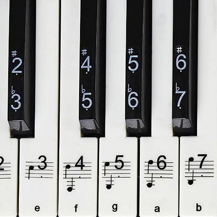 Piano Stickers for Keys – Removable w/ Double Layer Coating for 49 / 61 / 76 / 88 Keyboards，Transparent Plastic Stickers for White &amp; Black Keys + Blank Stickers &amp; User Guide