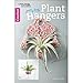 Pretty Little Plant Hangers | Crochet | Leisure Arts (75598) by