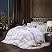 Coozii Goose Down Alternative Comforter Queen 90 x 90 Inch,Ultra Soft Brushed Microfiber， Quilt with Corner Tab for All Season Hypoallergenic Plush Mircofiber Comforter Duvet Insert
