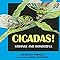 Cicadas Strange And Wonderful Laurence Pringle Meryl Learnihan Henderson 9781590786734
