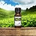 Top 6 Essential Oils Gift Set for Diffuser - #1 Voted Christmas Gifts for Mom, Wife, Women, Grandma, Her for Aromatherapy by Aviano Botanicalsm