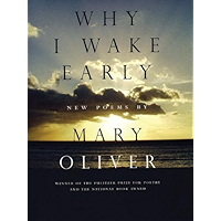 Why I Wake Early: New Poems book cover