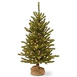 National Tree Company Pre-lit Artificial Mini