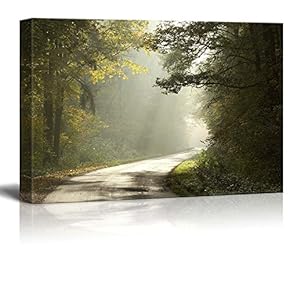 Beautiful Scenery Landscape Country Road Running Through The Deciduous Forest on a Foggy Morning - Canvas Art Wall Art - 12" x 18"