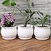 Plant pots - 5.5-inch Cylindrical Ceramic Planters with Connected Saucer, Round Modern Ceramic Garden pots - Succulent Medium-Sized Plant pots Set of 4 (Pure White)