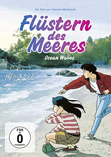 Flüstern des Meeres - Ocean Waves [DVD]