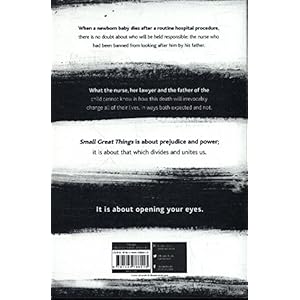 Small Great Things: 'To Kill a Mockingbird for the 21st Century'