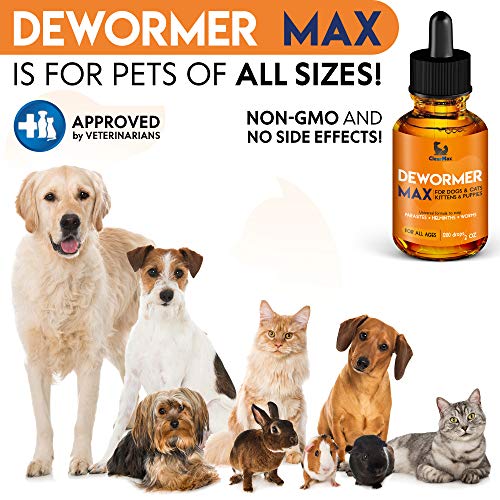 Dewormer for Dogs and Cats Natural Treatment from Tapeworm, Roundworm