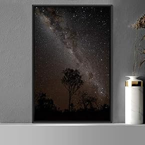 signwin Framed Canvas Wall Art Beautiful Landscape Canvas...