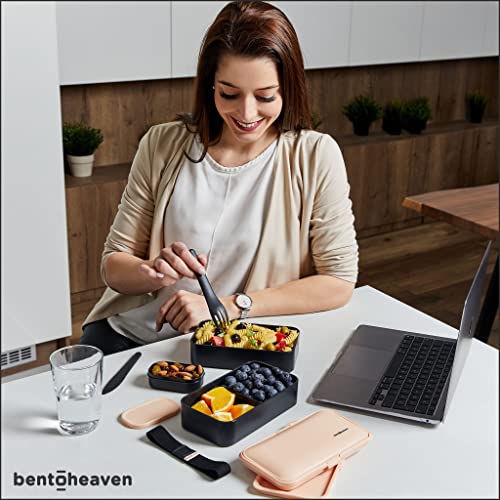Bentoheaven Premium Bento Lunch Box in 8 Colors, 2 Compartments
