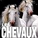 Les chevaux by