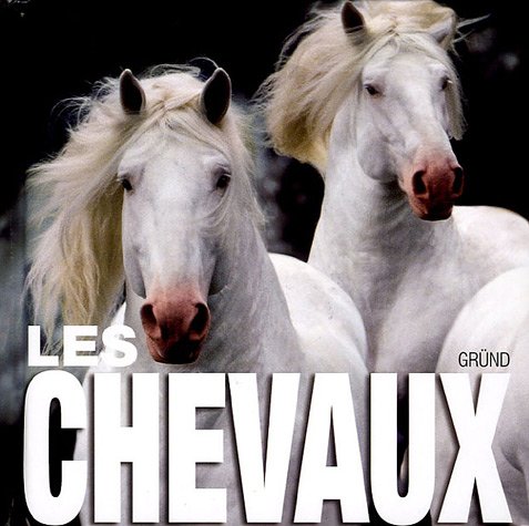 Les chevaux by Gabriele Boisele, Senio Sensi, Henry Dallal, Attila Korbely Paolo Manili (Paperback)