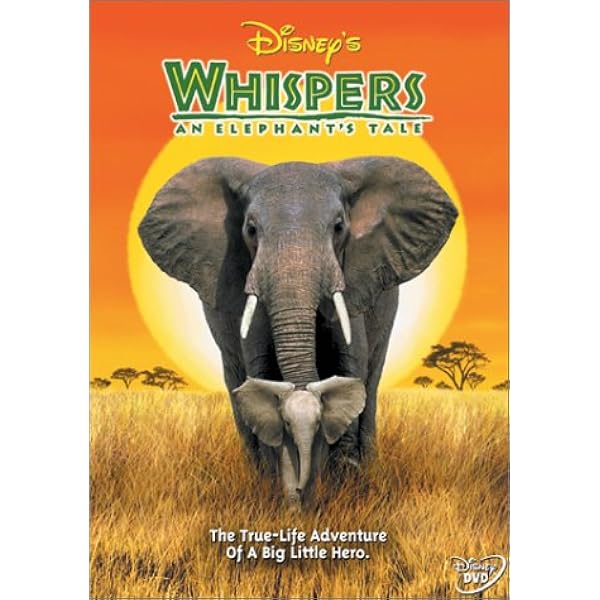 Amazon.com: Elephants : *: Movies & TV