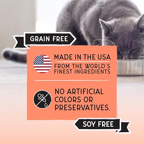 BLACKWOOD BOUNTY DRY CAT FOOD, SALMON & RAINBOW TROUT RECIPE FOR ALL LIFE STAGES, 4.5 POUND BAG, HIGH PROTEIN, GRAIN FREE