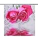 Maxwelly 3D Pink Rose Shower Curtain Polyester Floral Shower Curtain Set with Hooks for Bathroom Decor - Waterproof - 72-Inch by 72-Inch
