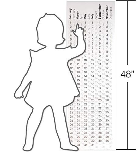 Bubble-Wrap-Calendar-A-Poster-Sized-Wall-Calendar-with-a-Bubble-to-Pop-Everyday