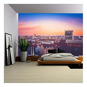 The Buildings in The Sunset - Removable Wall Mural | Self-Adhesive Large Wallpaper - 66x96 inches