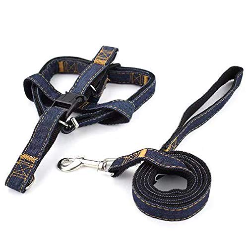 Aida\'s best Adjustable Leash for Medium Dog Harnesses Leash for Large Dog Nylon Black Breakaway Heavy Duty