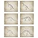 Dinosaur Art Prints – Set of Six (6) Prints – Size 8”x10” – Unframed Prints – Matte Finish – Great Gift for any Kid!