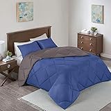 Comfort Spaces Vixie Reversible Comforter Set