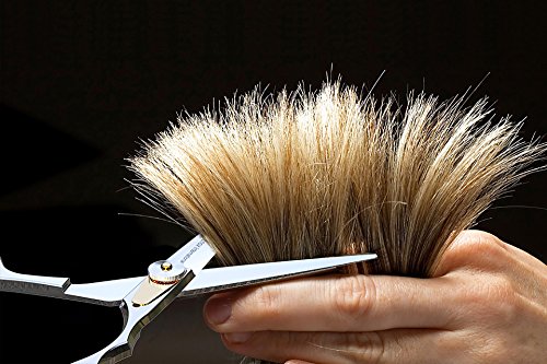 Equinox-Professional-Razor-Edge-Series-Hair-Cutting-and-ThinningTexturizing-ScissorsShears-Set-65-Overall-Length-with-Fine-Adjustment-Tension-Screw-Japanese-Stainless-Steel