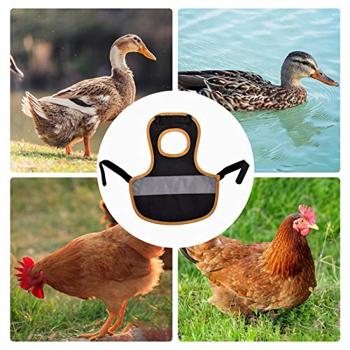 tanbea-DE Haustierweste Hühnersattel Geflügelkleidung Hühnersattelschürze Federschutzhalter Für Hühnerente Reflective… – Bild 8
