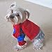 Alfie Pet - Superhero Costume Spiderman - Size: XS