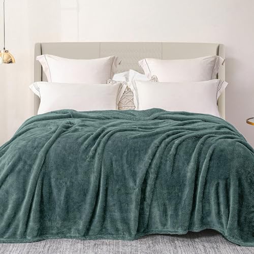 Exclusivo Mezcla Plush Fuzzy Fleece Bed Blanket Double Size 230x168 CM, Super Soft, Fluffy and Warm Blankets, Suitable for All Season Use, Celadon