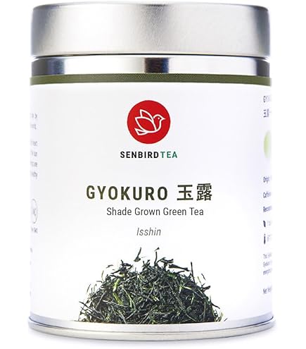 Amazon.com : Yamamotoyama Sencha Pyramid Green Tea Bag, 10 ct. Box