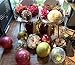 Graduation Decorations Maroon Gold 2025/Burgundy Maroon Graduation Party Decorations/Fall Bridal Shower Decorations/Burgundy Gold Balloons/Birthday Party Decor for Women Fall