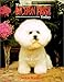 The Bichon Frise Today by 