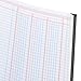 Wilson Jones 74100 Account Book, 9 1/4-Inch x 7-Inch, 30 Lines, 80 Pages, 3 Columns (W74103)
