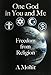 One God in You And Me: Freedom From Religion by A Mohit