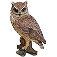 Hi-Line Gift Ltd 87767-B OWL Statue, 6.75", Nil