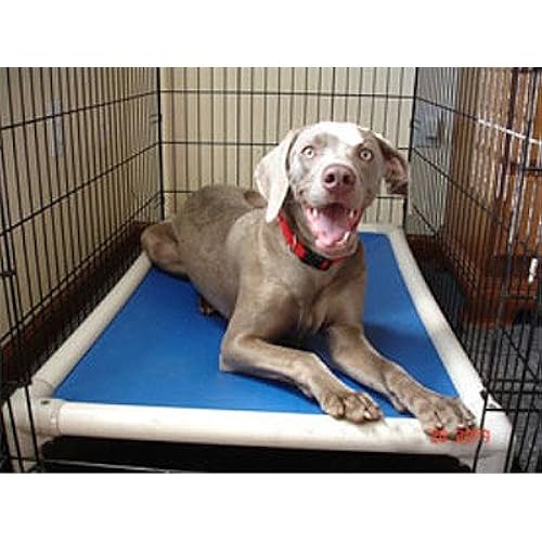 Elevated Chew-Proof Crate Dog Bed Size: Medium (23
