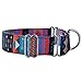 SCENEREAL Martingale Collars for Dogs Heavy Duty Large Dog Training Collar for Walking Hiking Running