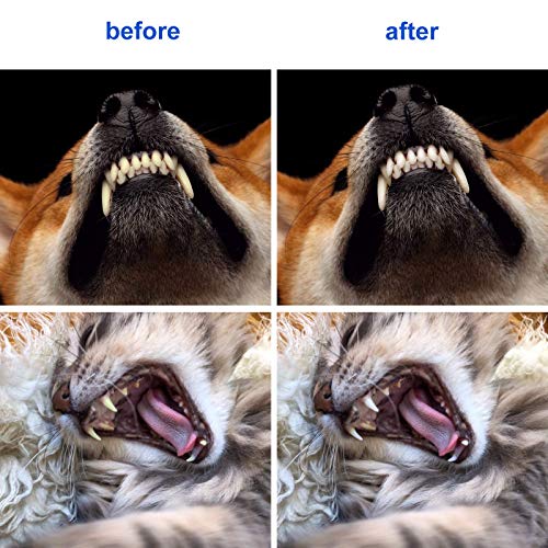 Newday 50 Pieces DoubleHeaded Dog Cat Pet Toothbrush , Super Soft Bristles Oral Care Teeth