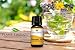 Plant Therapy Immune Aid Essential Oil Blend 10 mL (1/3 oz) 100% Pure, Pre-Diluted Roll On, Therapeutic Grade