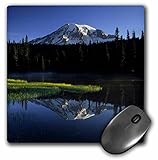 3D Rose"Early Morning Below Majestic Mt. Rainier in