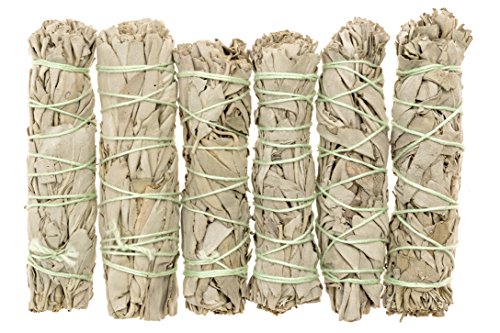 Premium California White Sage 4 Inch Smudge Sticks - 6 Pack. Alternative Imagination Brand.