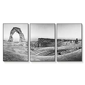 Floating Framed Canvas Wall Art for Living Room, Bedroom Black and White Landscape Canvas Prints for Home Decoration Ready to Hang - 16"x24"x3 Panels