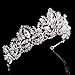 Silver Princess Crown Tiara Headband, Vintage Baroque Diadem Crown for Women + 2 Free Hair Pins (Silver)