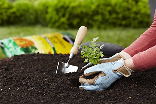 Miracle-Gro All-Purpose Garden Soil - Image 3