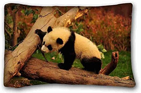 Custom Cotton & Polyester Soft ( Animal Panda ) Zippered Body Pillow Case Cover Size 20"X30" suitable for California King-bed PC-Bluish-34217
