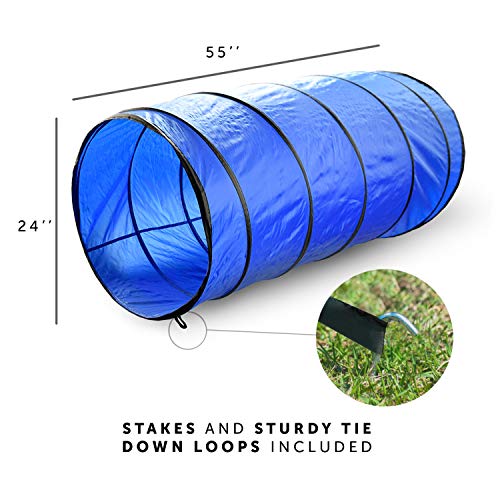 Better Sporting Dogs Complete Starter Agility Set for Dogs | 5 Piece Dog Agility Kit | Dog Tunnel | Agility Jump | Tire Jump | Weave Poles | Pause Box - Thumbnail 4