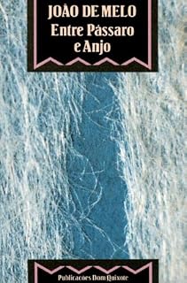 Livro Entre Pássaro e Anjo