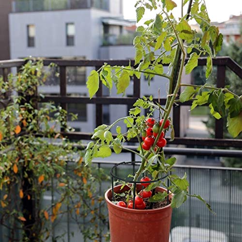 YARNOW 2 Sätze Pflanzenkletterbügel Stützringe Blumenstützring Runder Pflanzer Pflanzenstützgitter Blumentopfhalter Stützkäfig Für Gartenpflanzen Gurkenkäfig Metall Plastik Topfpflanze – Bild 7