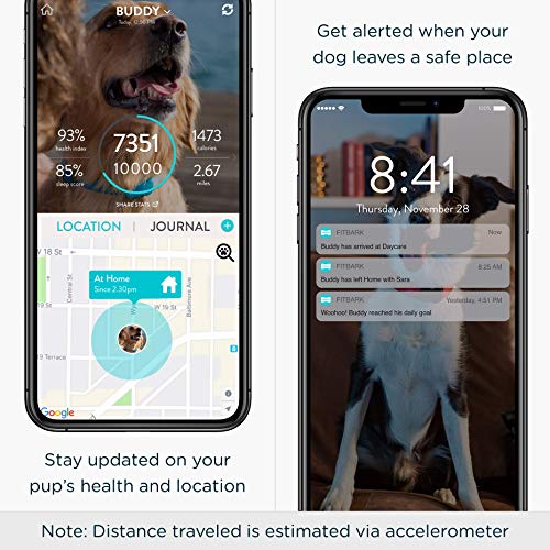 FitBark GPS Dog Tracker Health & Location Pet Tracking Smart Collar
