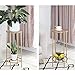 YYFANG Plant Flower Stand Mini Side Table Floor-Standing Easy to Move Metal Simple Modern Living Room, 4 Colors (Color : Gold, Size : 32x32x70cm)thumb 3
